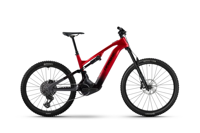Haibike ALLMTN CF 9