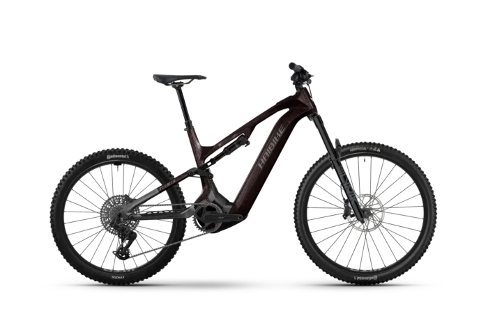 Haibike ALLMTN CF 9